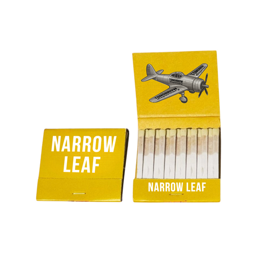 Custom yellow matchbook with 30 matches and airplane design – front and inside view
